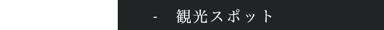 観光スポット