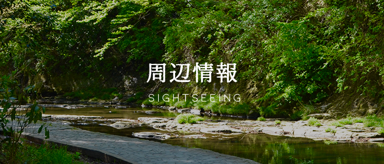 周辺情報