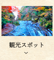 観光スポット